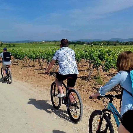 Tina De Vila, En La Capital Del Vino Vilafranca del Penedès Eksteriør billede