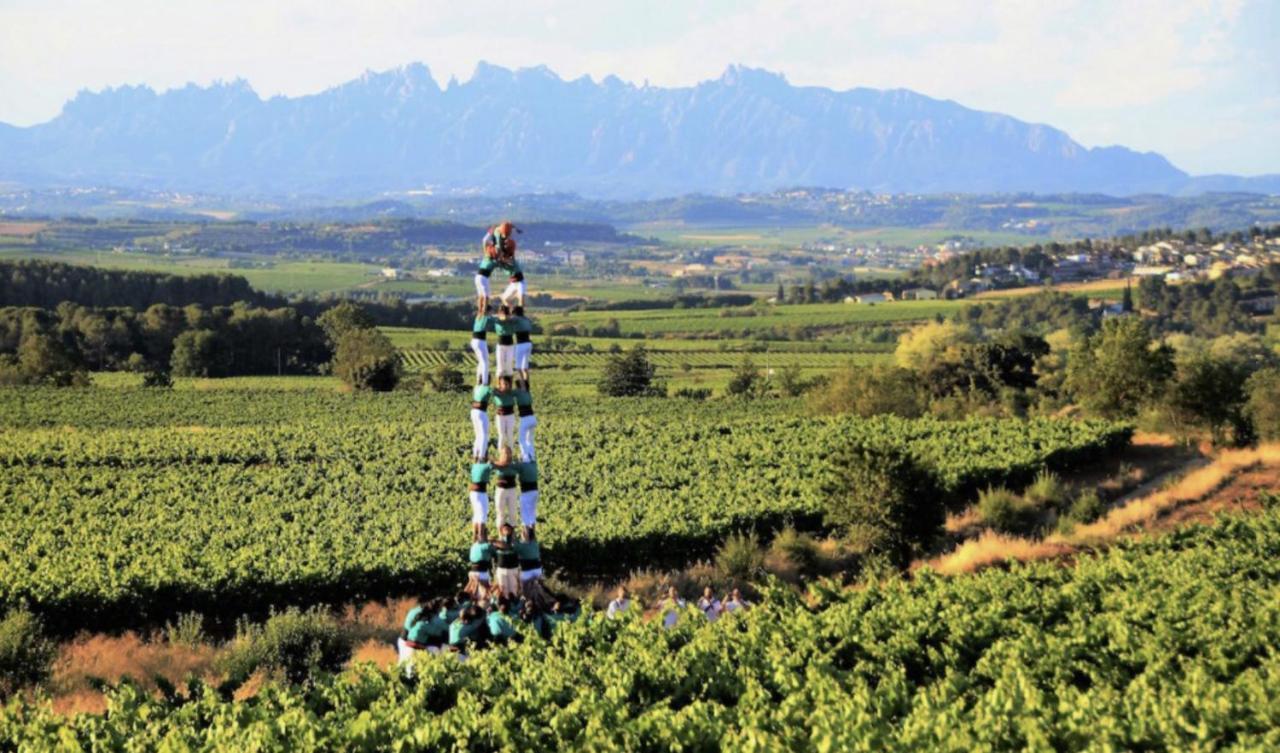 Tina De Vila, En La Capital Del Vino Vilafranca del Penedès Eksteriør billede