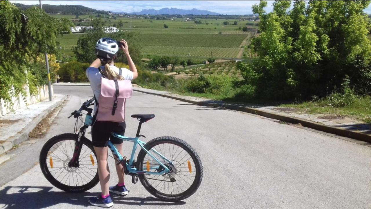 Tina De Vila, En La Capital Del Vino Vilafranca del Penedès Eksteriør billede